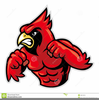 Cardinal Cartoon Clipart Image