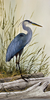 Clipart Shore Birds Image