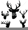 Deer Antler Clipart Image