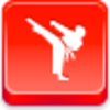 Karate Icon Image