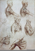 Michelangelo Figure Studies Image