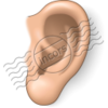 Ear Image