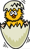 Free Chick Clipart Image