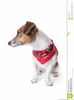 Free Clipart Dog Bandana Image