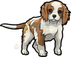Cavalier King Charles Clipart Image