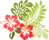 Hibiscus Clip Art