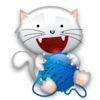 Cat 256 Image