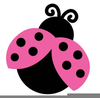 Pink Ladybug Clipart Free Image