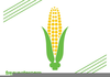 Free Clipart Corn On The Cob Image