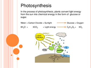Definition Of Clipart In Powerpoint Image
