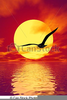 Clipart Tramonto Image