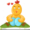 Chicken Eggs Clipart Image