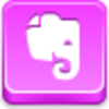 Evernote Icon Image