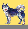 Husky Clipart Image