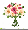 Clipart Calla Lily Flower Image
