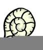 Clipart Of Fossils Image