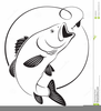 Walleye Fish Clipart Image