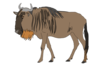 Gnu Image