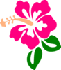 Flower Image