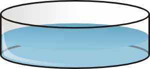 Petri Dish Clip Art