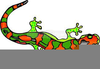 Clipart Amphibian Image