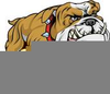 Bulldog Chewing Basketball Clipart Image