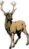 Reindeer 3 Clip Art