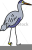 Heron Clipart Free Image