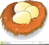 Clip Art Nest Image