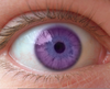 Natural Purple Eyes Image