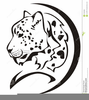Leopard Head Clipart Image