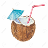 Clipart Coconut Pictures Image