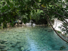 Negro River Image