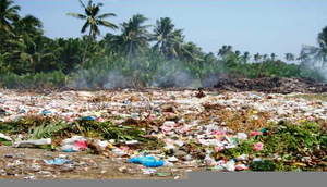 Soil Pollution Pesticides Image