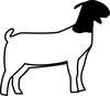 Market Lamb Clipart Image