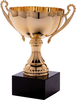 Trophy Image