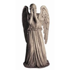 Weeping Angel Image