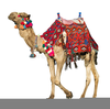 Clipart Of Camels Image