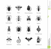 Clipart Of Insects And Bugs Image