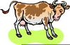 Black Agus Bull Clipart Image