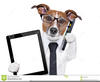 Dog Reading Clipart Image