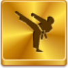 Karate Icon Image