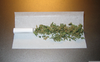 Joint Rolling Paper Image