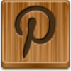 Pinterest Icon Image