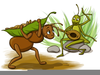 Ant And Grasshopper Clipart Image