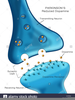 Neurotransmitter Dopamine Image