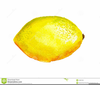 Clipart Lemons Image