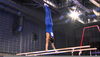 Parallel Bars Gymnastics Image