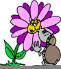 Animated Spring Clipart Image