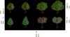 Isometric Tree Clip Art